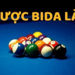 cá cược bida