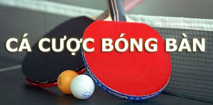 cá cược bóng bàn